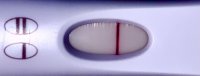 0E0A9007-1235-41D0-93F1-63CA29AAE656.jpeg