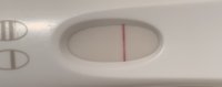 4FBF4D2E-9DAB-4EAE-B988-E415DAA45C36.jpeg