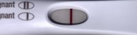 9E3348AC-9317-48E6-AC57-52070070BB9D.jpeg