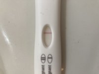 3E3209F6-4725-4ECF-872E-E203F4220AA8.jpeg