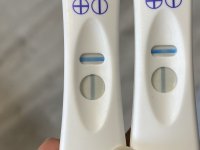 80132567-AD4B-4DF1-B2E9-BE58B4C37201.jpeg