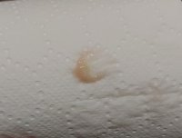 20220113_200415.jpg