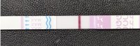 8dpo.JPG