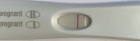 85DA4D5B-ADC7-4E77-969E-254B4908FAC8.jpeg