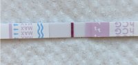 10dpo.JPG