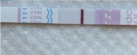 10dpo1.JPG
