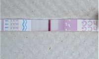 13dpo.JPG