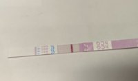 16dpo.JPG