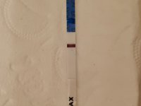 20220128_170331.jpg