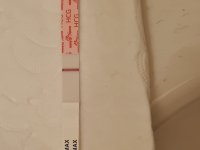 20220128_170407.jpg