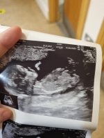 baby 4.jpg