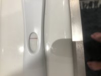 B577FD57-9C81-424C-95D0-0050177B9E2E.jpeg