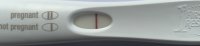 C37C4FF8-B13D-490D-9E77-28CAE663D7FA.jpeg