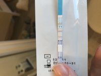 0386B484-ACAD-4EC6-A2F8-381A46E2DD18.jpeg