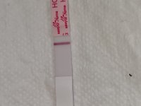20220225_133813.jpg