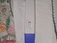 20220227_131330.jpg