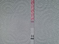20220228_102818.jpg