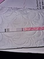 1646068564559.jpg