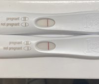 974DFCBE-EAED-4019-A510-3BC3C3E31A5F.jpeg