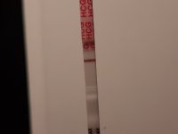 20220304_064259.jpg