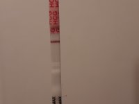 20220304_064246.jpg