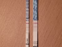 20220306_190213.jpg