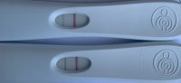 74CD9DC5-ABA6-461A-A831-1B527577AF21.jpeg