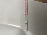 A1B55397-DFA5-4D8C-9B3B-382B7FC751F6.jpeg