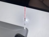 7445C3D2-E0C2-4DE5-A496-74DA94200E8A.jpeg