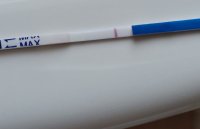 20220318_133319.jpg