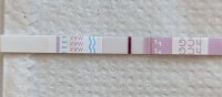 11dpo.JPG