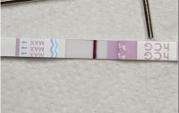 13dpo.JPG