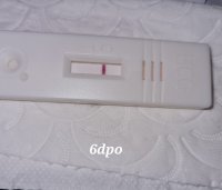 20220325_002452.jpg
