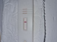 20220325_073835.jpg
