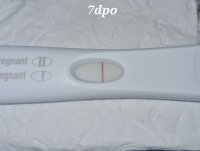 20220326_080524.jpg