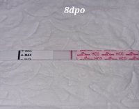 20220327_081606.jpg