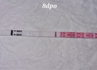 20220327_081316.jpg