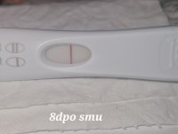 20220327_113507.jpg