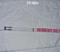 20220329_072438.jpg