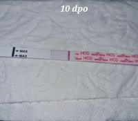 20220329_072536.jpg