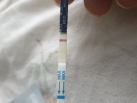 20220329_083342.jpg