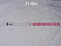 20220330_075135.jpg