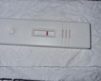 20220331_074838.jpg