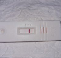 20220331_144521.jpg
