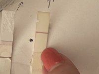 2F75DEBF-CF72-45AC-AEE6-7D2CE2DE0971.jpeg