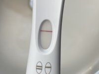 086B941E-E7FD-450B-B2F0-26176D4EDA13.jpeg