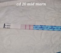 20220420_111959.jpg