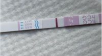 12dpo.JPG