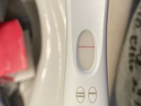 A948B18E-C65F-448A-9E89-D80D79646FFA.jpeg