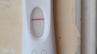 20220428_073825.jpg